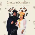 Umuzi eSandton - Big Zulu