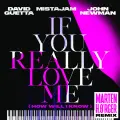 If You Really Love Me (How Will I Know) [Marten Hørger Remix] - David Guetta