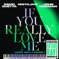 If You Really Love Me (How Will I Know) (David Guetta & MORTEN Future Rave Remix) - David Guetta