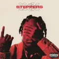 Steppers - 22Gz