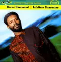 Try If You Want - Beres Hammond