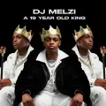 Melzi Wa Batho - DJ Melzi