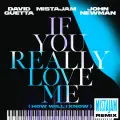 If You Really Love Me (How Will I Know) [MistaJam Remix] - David Guetta
