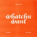 Whatchu Want - Angelo King
