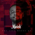 Night & Day (Main Mix) - Kwiish SA