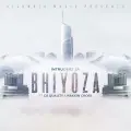 Bhiyoza - Intruderz SA