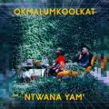 Ntwana Yam' - Okmalumkoolkat