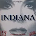Tears on My Face (I Can See the Rain) [Da Blitz Rmx 140 Bpm] - Indiana
