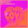 Crazy What Love Can Do (Acoustic) - David Guetta