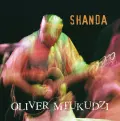 Shanda (Live) - Oliver Mtukudzi