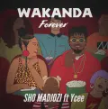Wakanda Forever (feat. Ycee) - Sho Madjozi