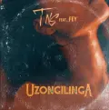 Uzongilinga (feat. Fey) - TNS