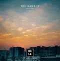 You Name It (feat. Luka Pryce) - Nelz