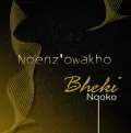 Ngenz'owakho - Bheki Nqoko