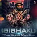 Isibhaxu (feat. Mampintsha, Babes Wodumo and Pex Africah) - Professor