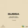 Busisa (feat. Tonic Motion, BuMan, SiphoTheGift and Cozypols) - DJ Kwamzy