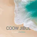 Coow Jibul (feat. Coco Cissoko) - Elzo Jamdong