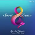 Nne Ndi Shumela (Live) - Spirit of Praise