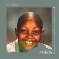 Ziyakhala - DJ Melzi