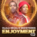 Enjoyment - Dlala Regal