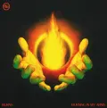 Burning In My Arms (Extended Mix) - Burns