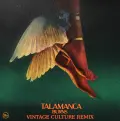 Talamanca (Vintage Culture Extended Remix) - Burns