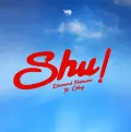 Shu! (feat. Chley) - Diamond Platnumz