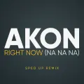 Right Now (Na Na Na) - Akon