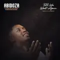 Till We Meet Again (Tribute to DJ Sumbody) [feat. Rams De Violinist & Mduduzi Ncube] - Abidoza
