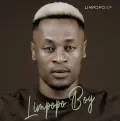 Limpopo (feat. Mkoma Saan) - Limpopo Boy