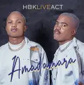 Amadamara - HBK Live Act