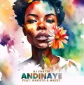 Andinaye - DJ Fortee