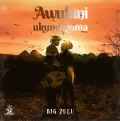 Awufuni Ukung’Qoma - Big Zulu