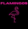 What's My Name - Flamingos