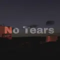 No Tears - Stormzy