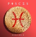 Pisces - Babalwa M