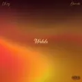 Wahala (feat. Olamide) - CKay