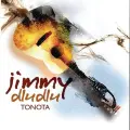 How About The Ones In The Village - Jimmy Dludlu