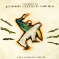 Orphans Of The Empire - Johnny Clegg & Savuka