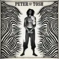 (You Gotta Walk) Don't Look Back [2002 Remaster] - Peter Tosh