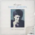 The Whisperer - David Sanborn