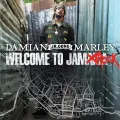 Confrontation - Damian Marley