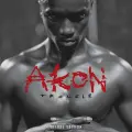 Locked Up (Remix) - Akon