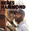 Can't Waste No Time - Beres Hammond