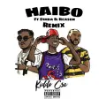 Haibo (feat. S1mba & Reason) - Kiddo CSA