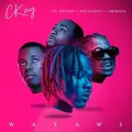 WATAWI (feat. Davido, Focalistic & Abidoza) - CKay