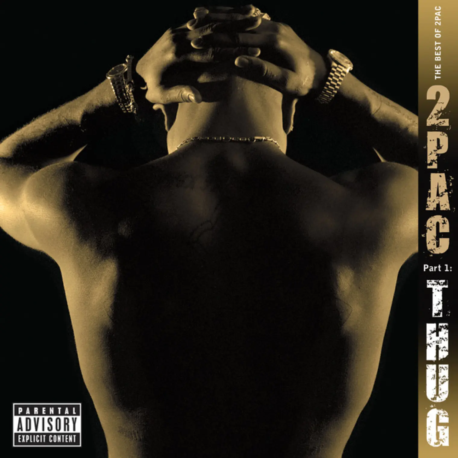 The Best of 2Pac -  2Pac 