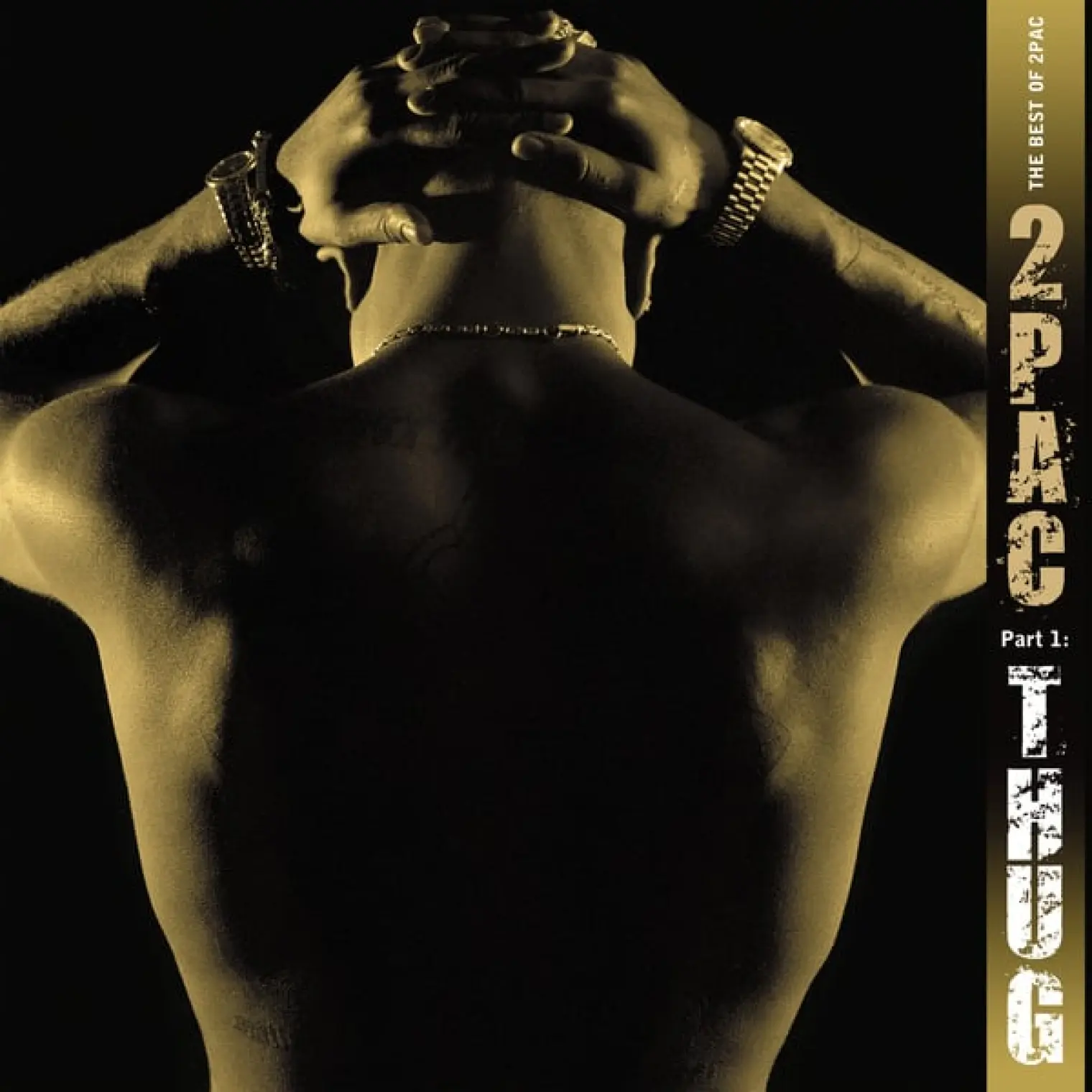 The Best Of 2Pac -  2Pac 