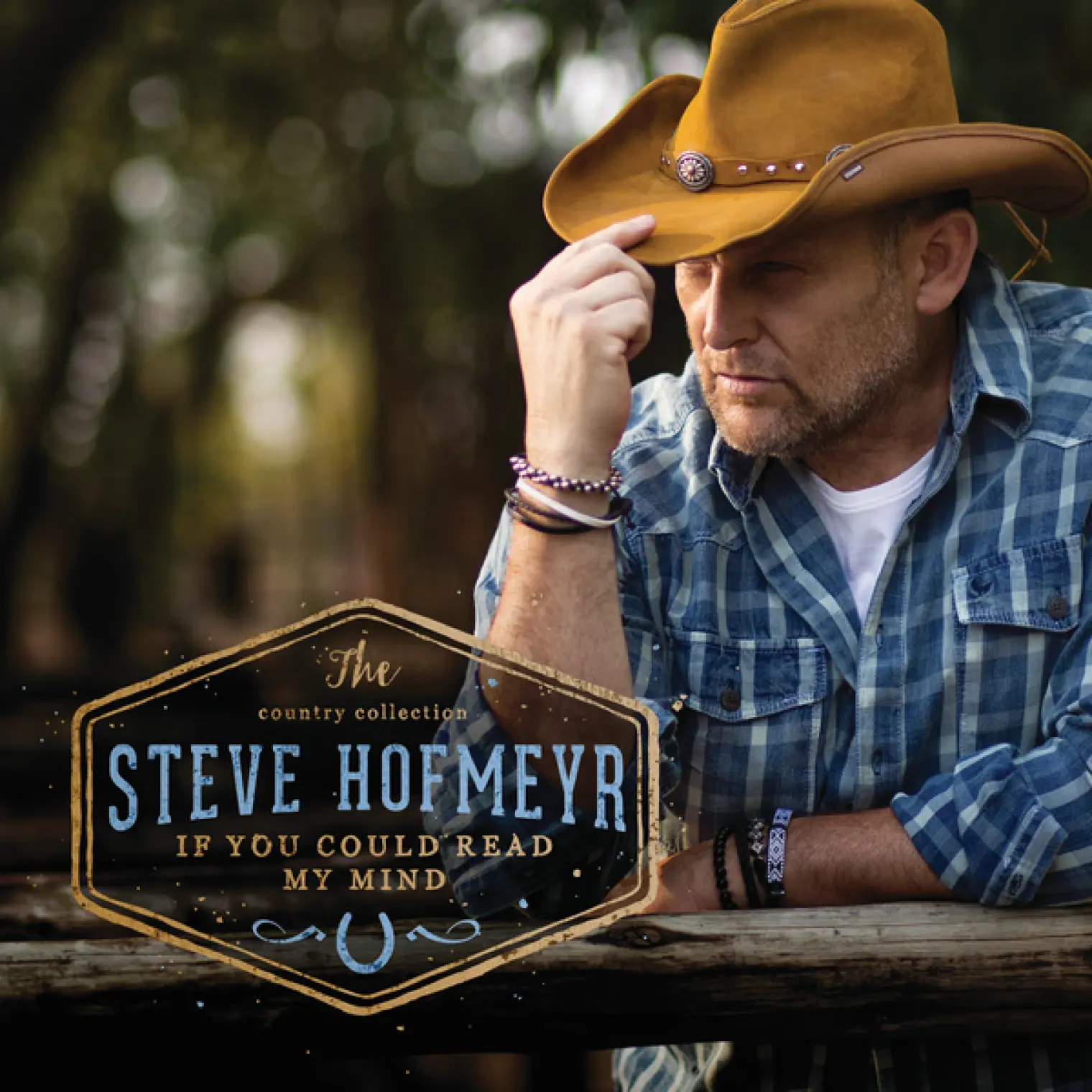 The Country Collection If You Could  Read My Mind -  Steve Hofmeyr 