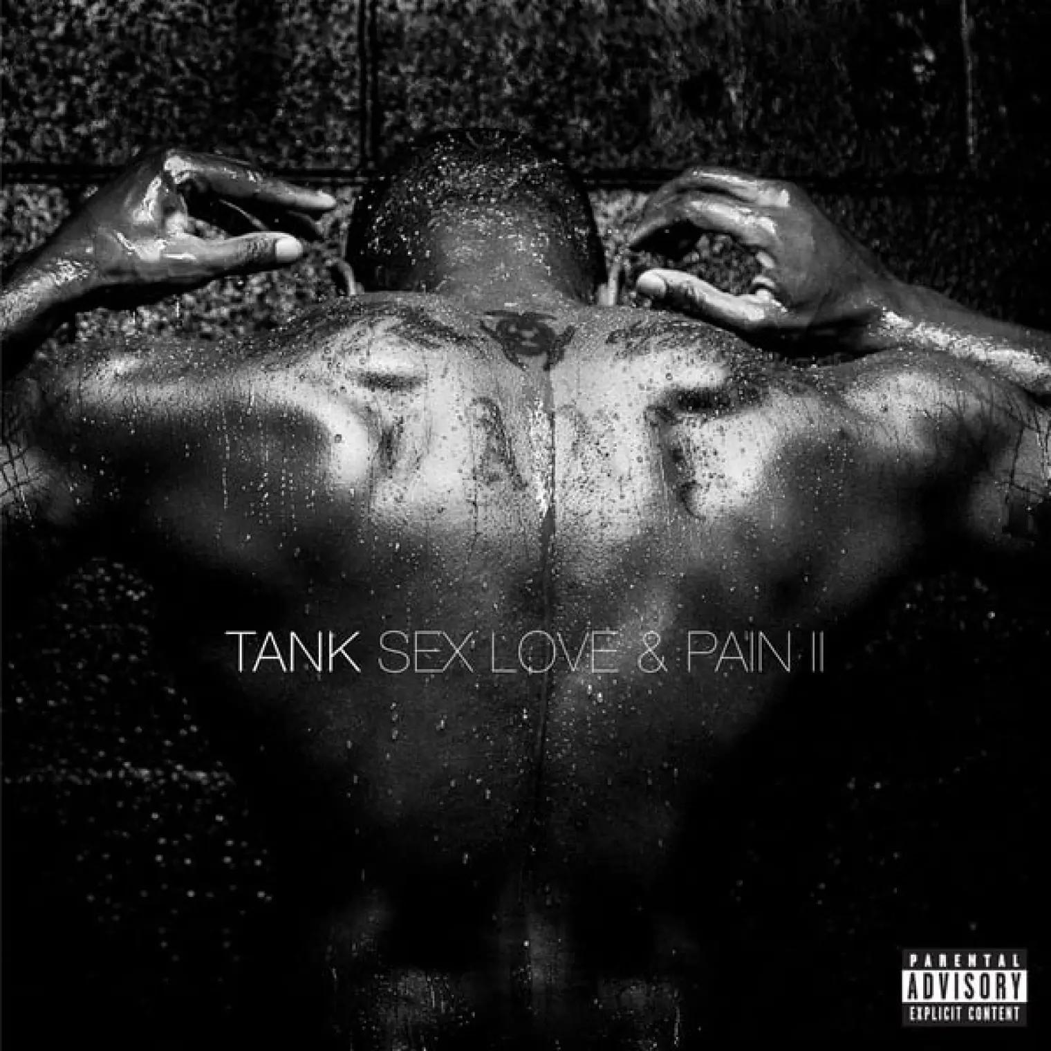 Sex, Love & Pain II -  Tank 